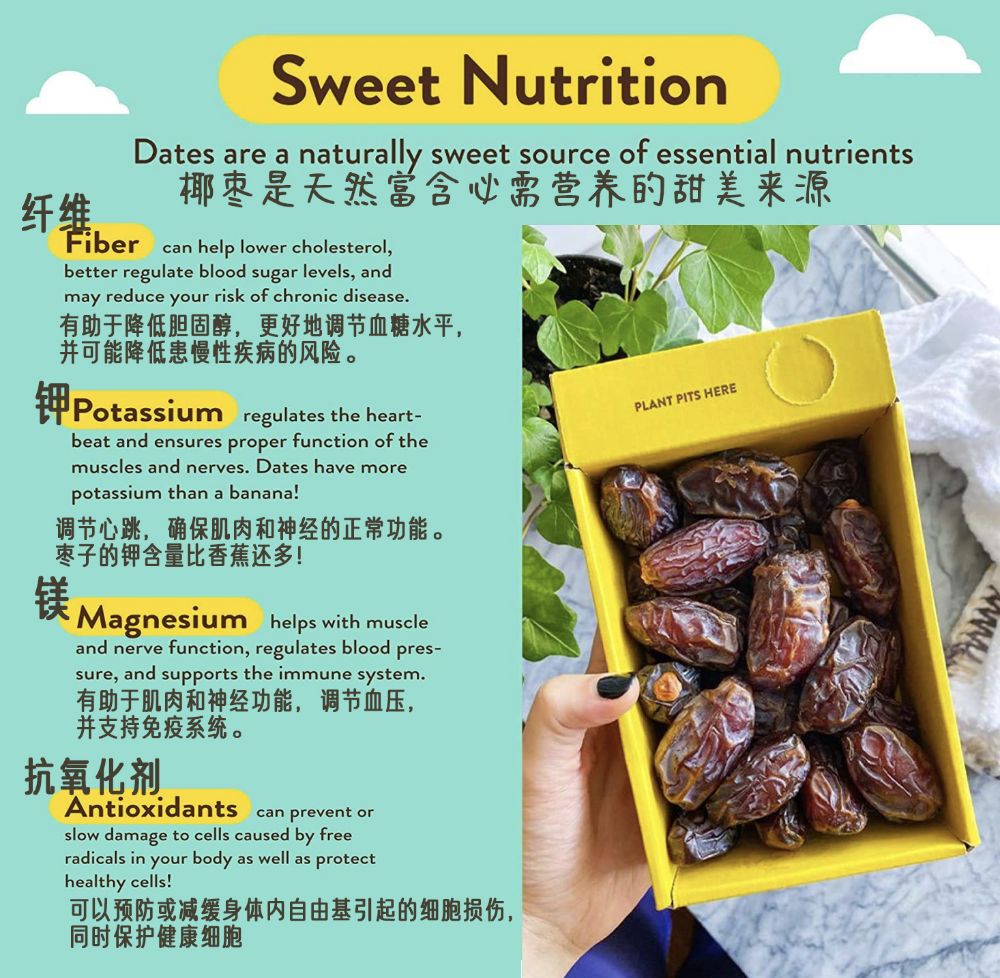 Picture of Sweet Nutrition - Organic Coconut Jujube Syrup 5 bottles