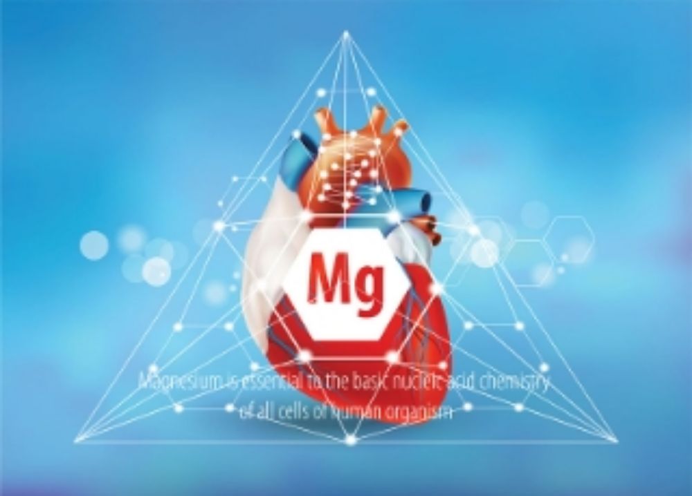 Picture of Micelle Liposomal Magnesium 15.22 OZ - ONE Box
