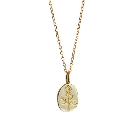 Picture of Tichy Rose necklace (S925) clavicle chain