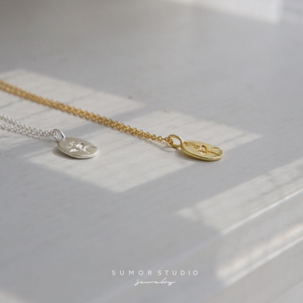 Picture of Tichy Rose necklace (S925) clavicle chain