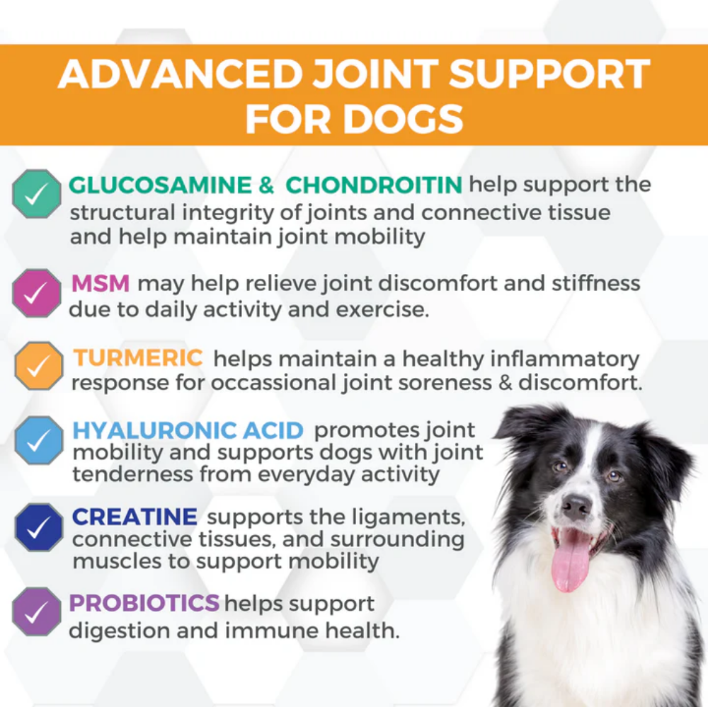 Picture of PROGILITY HIP & JOINT SOFT CHEW SUPPLEMENTS FOR DOGS