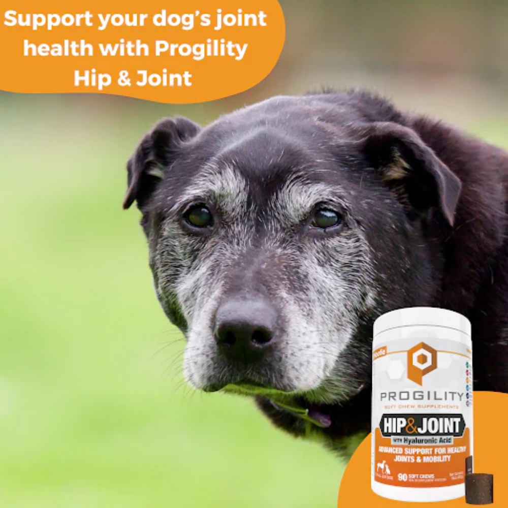 Picture of PROGILITY HIP & JOINT SOFT CHEW SUPPLEMENTS FOR DOGS