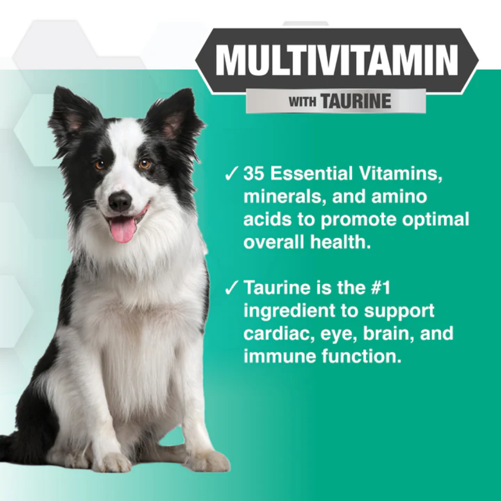 Picture of PROGILITY MULTIVITAMIN SOFT CHEW SUPPLEMENTS FOR DOGS