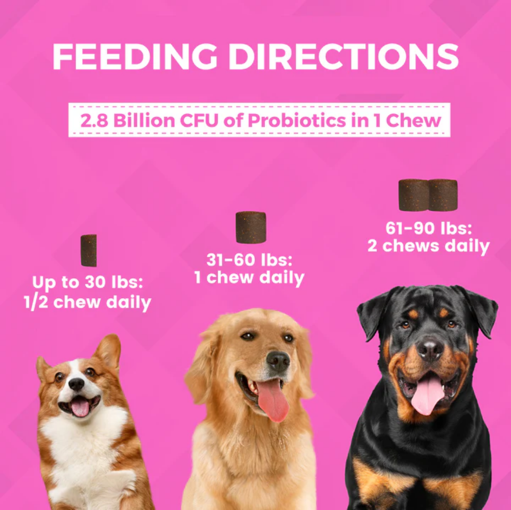 Picture of PROGILITY PRE & PROBIOTICS SOFT CHEW SUPPLEMENTS FOR DOGS