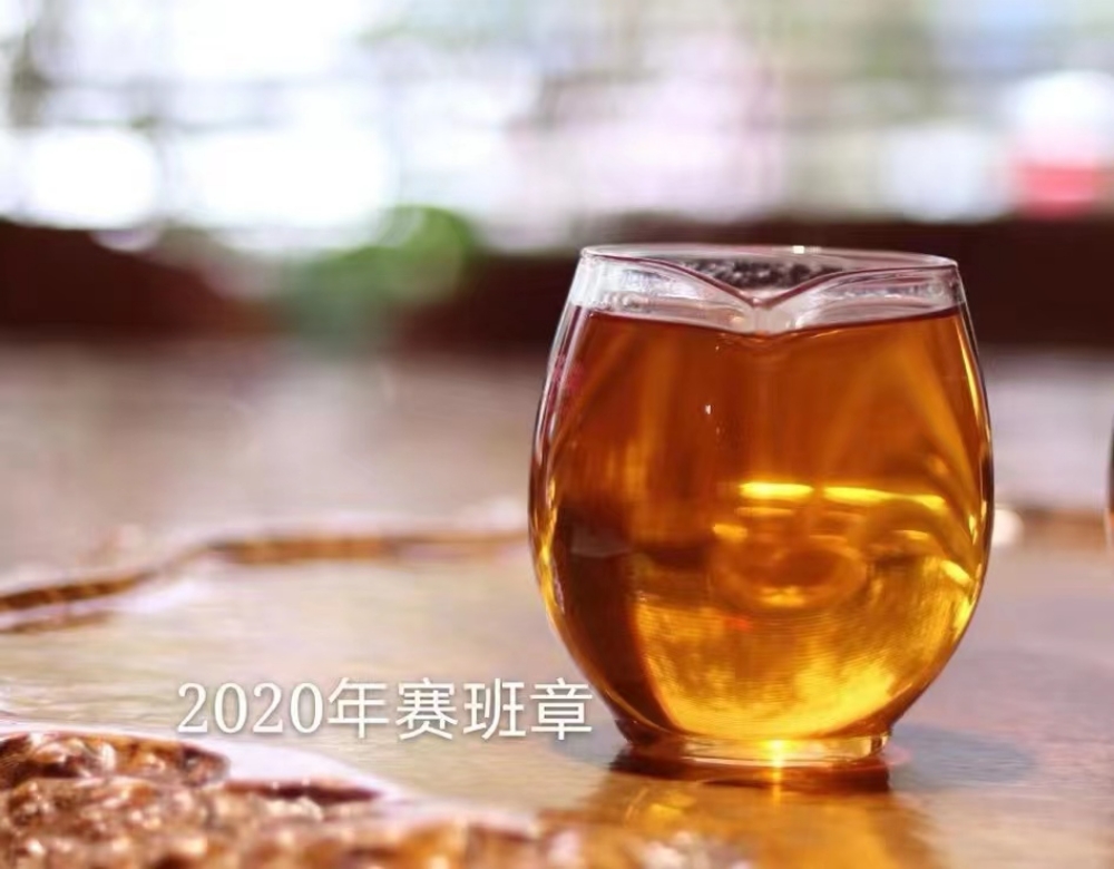 Picture of 2020 Saiban Zhang