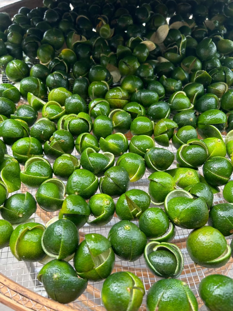 Picture of Pure Breed Small Qingpi (Green Tangerine Peel)(1 Year)